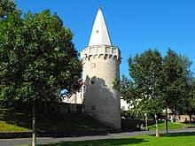 Stadtmauer Turm am Mainradweg in Seligenstadt